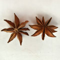 Hot selling Professional supply natural organic anise seed